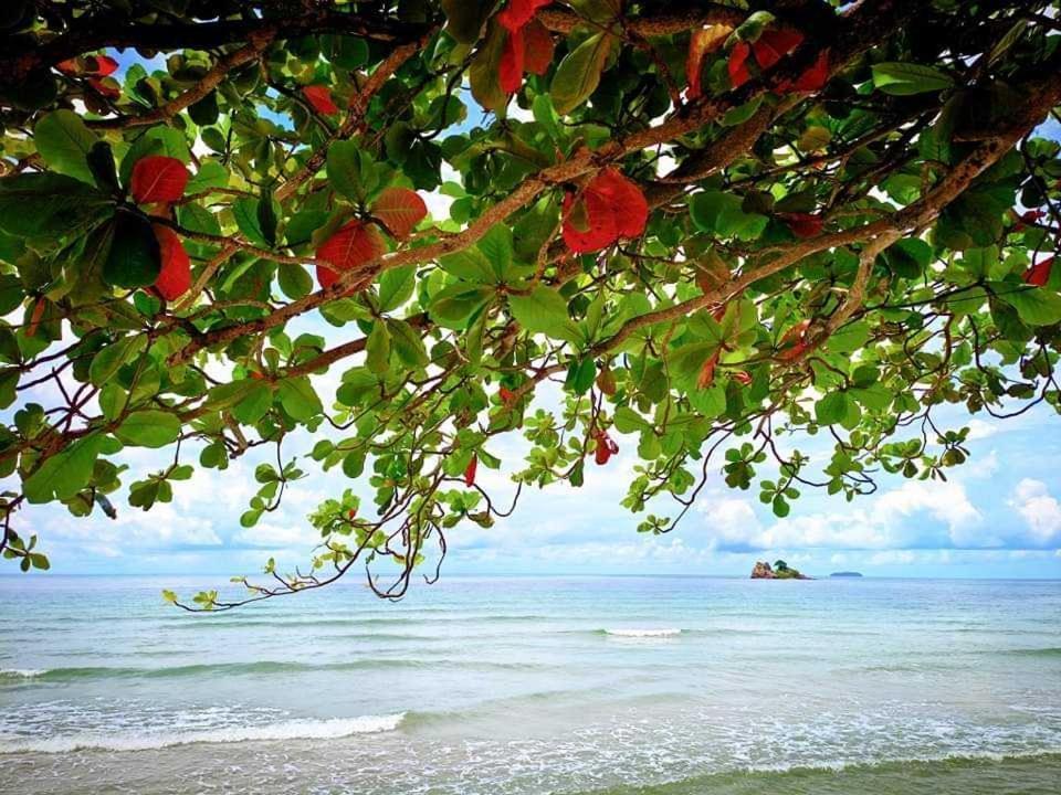 ทีพักติดหาดแหลม​แม่พิมพ์​Mantra Condo​ Rayong​ Ban Ang Esterno foto